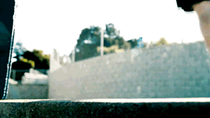 giphy.gif