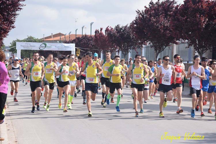carrera1.jpg