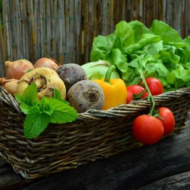 La alimentación en las excursiones veraniegas.
