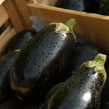 Berenjena: repleta de agua y muy vistosa para cocinar