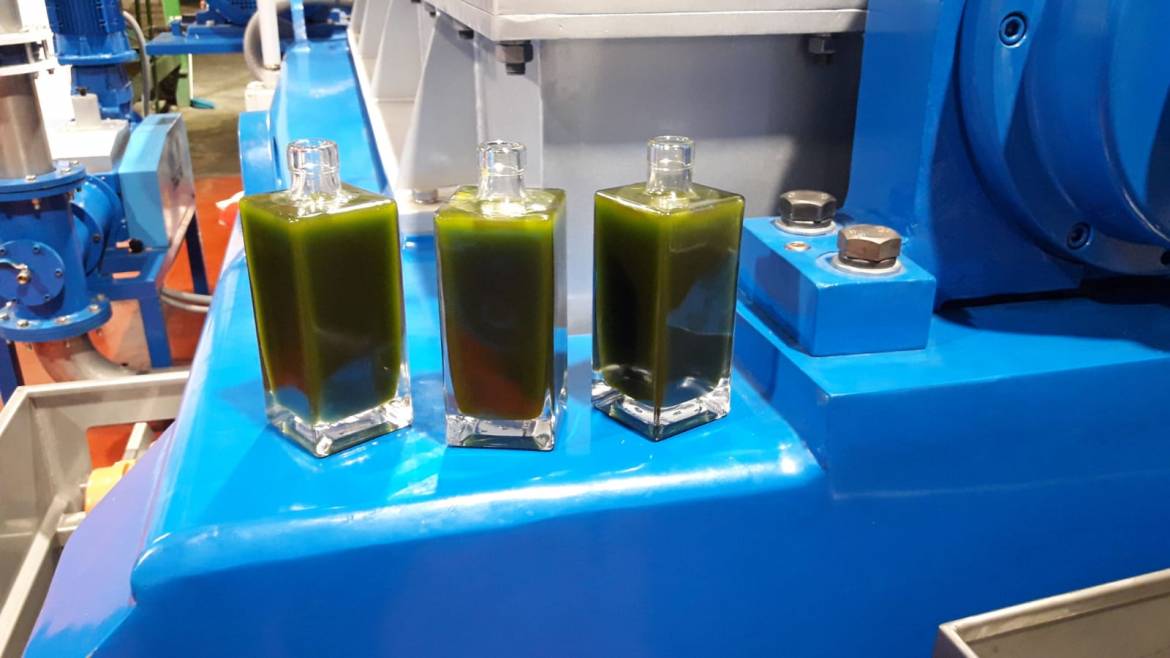 primer-aceite-2019-2.jpg