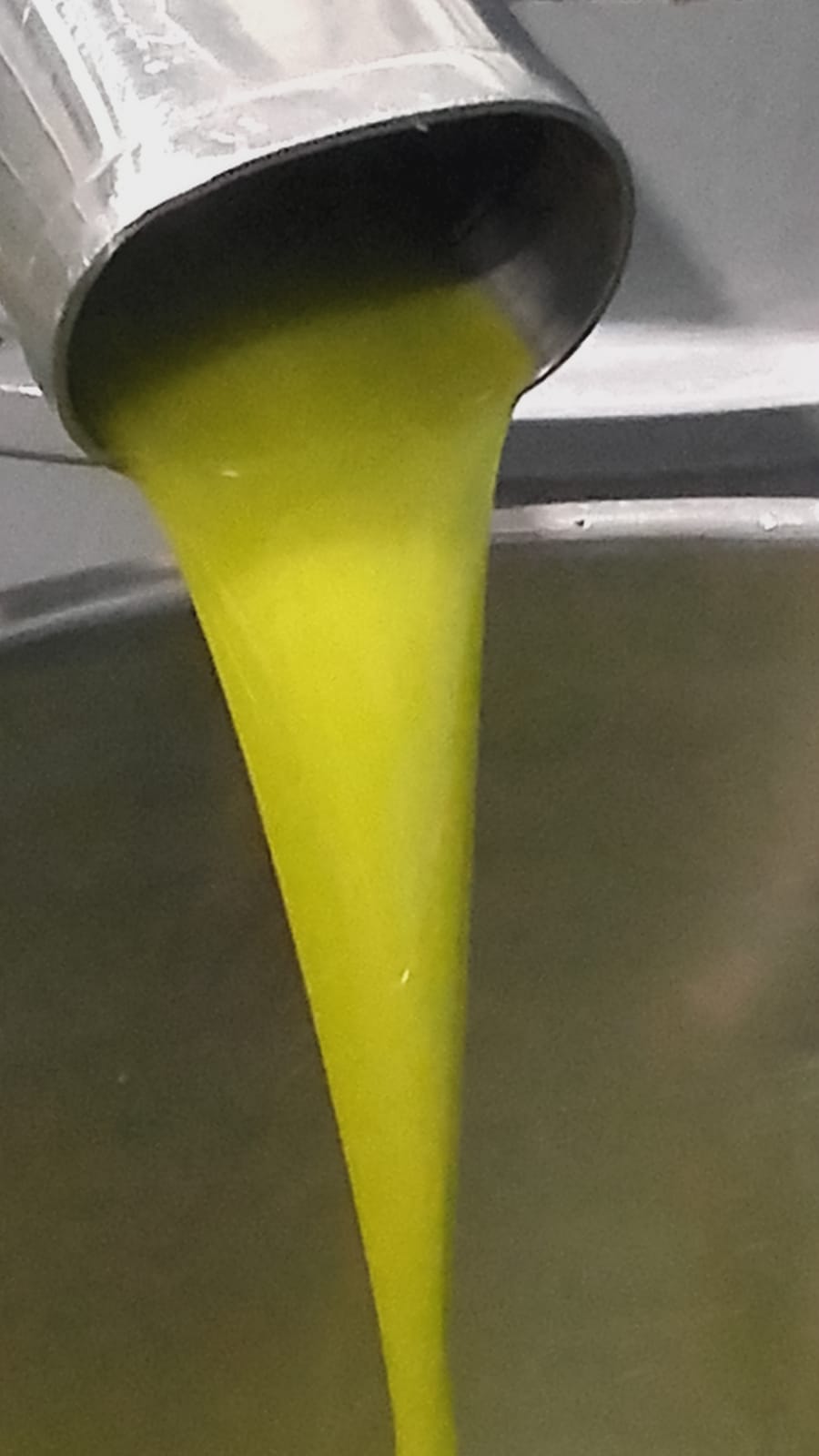 primer-aceite-2019.jpg