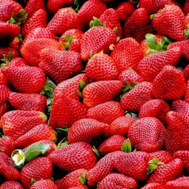 La fresa, fruta de temporada