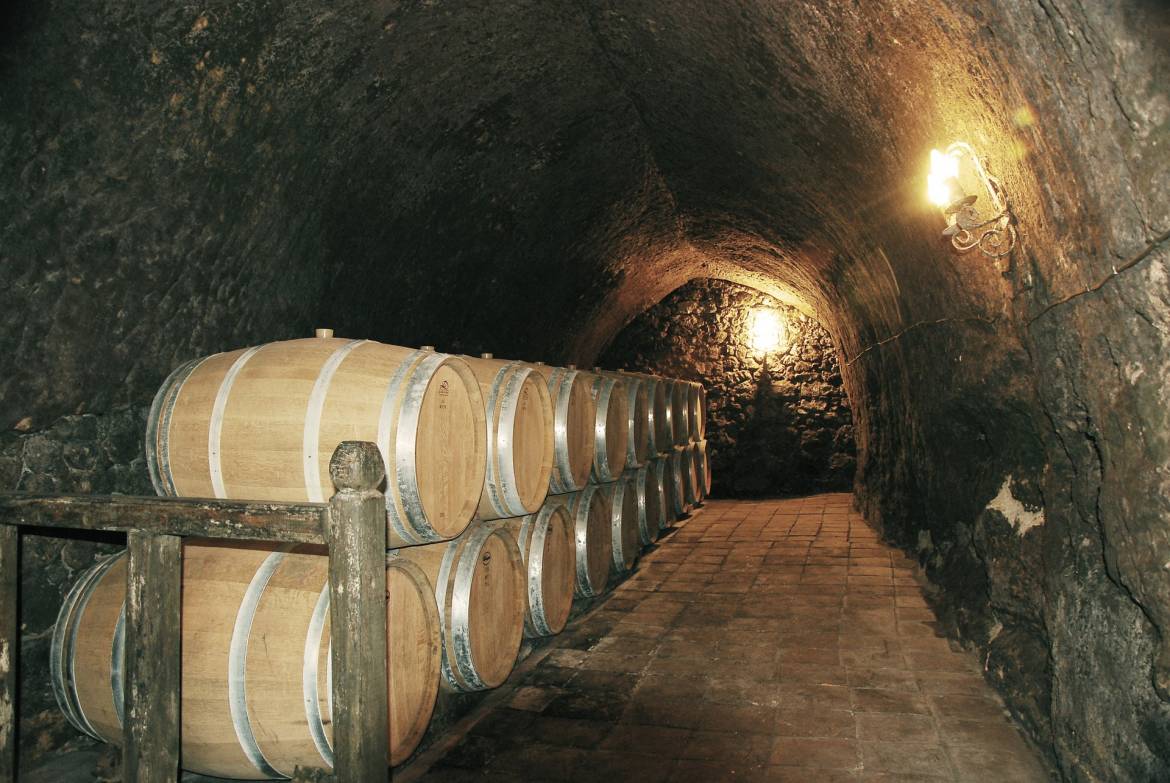 winery-393060_1920.jpg