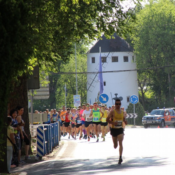 IMG_6999.jpg